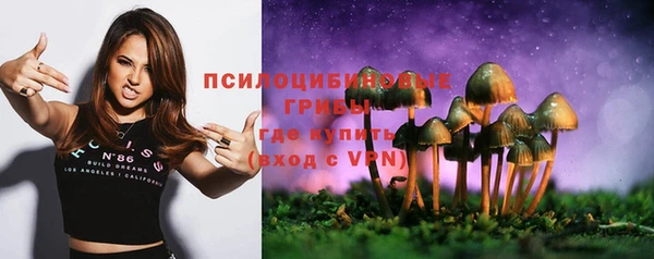 метадон Бородино