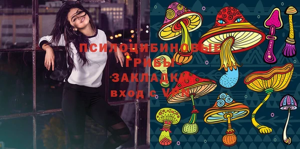 метадон Бородино