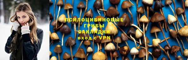 метадон Бородино